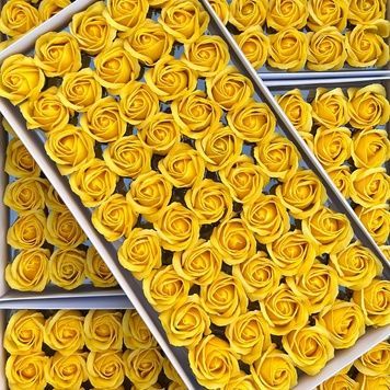 Роза стандартная КР желтая