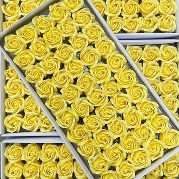 Роза стандартная КР лимонная