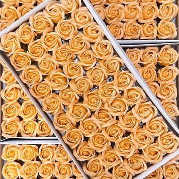 Роза стандартная КР нежно оранжевая