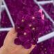 Гортензія баклажанова Lux