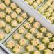 Роза кустовая кремовая